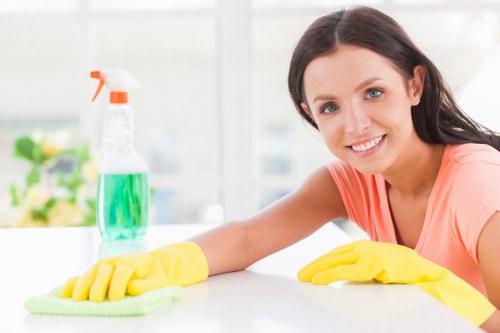 Stain removal supplies arranged for quick cleaning