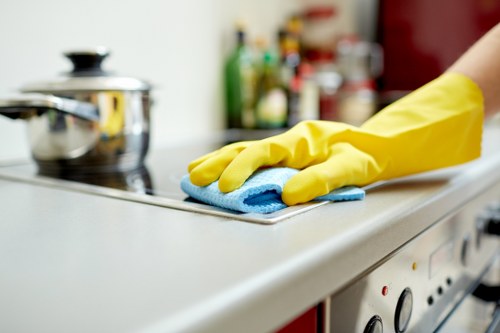 Deep carpet cleaning process in a Bayswater home