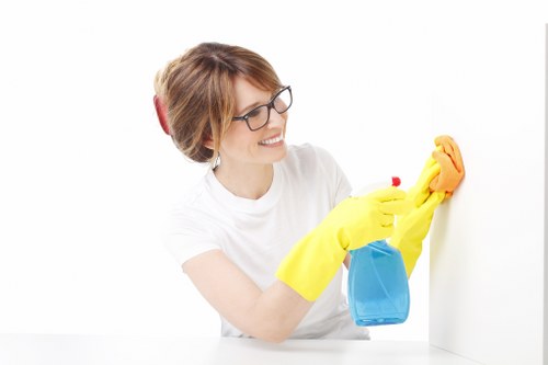 Odour-free pet-friendly home cleaning